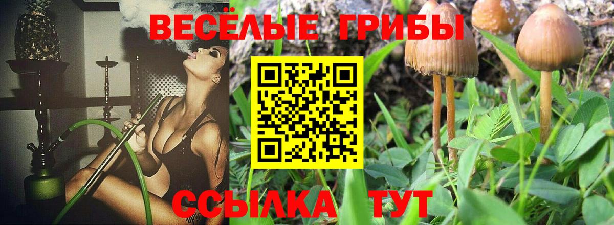Псилоцибиновые грибы Magic Shrooms  Вход с VPN  Назарово  где купить наркоту  Псилоцибиновые грибы Psilocybe 
